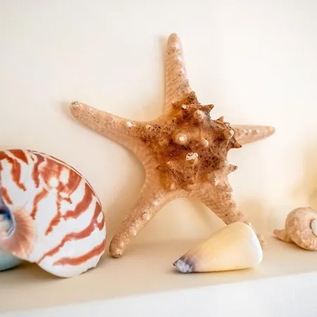 Апартаменты Guestready - Caravelas Getaway *